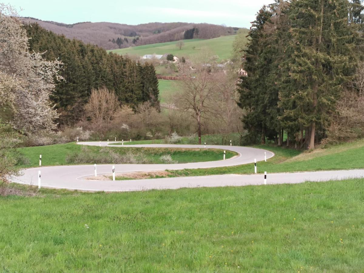 Schönecken Mooi Ruim Appartement In Antieke Stadsboerderij מראה חיצוני תמונה